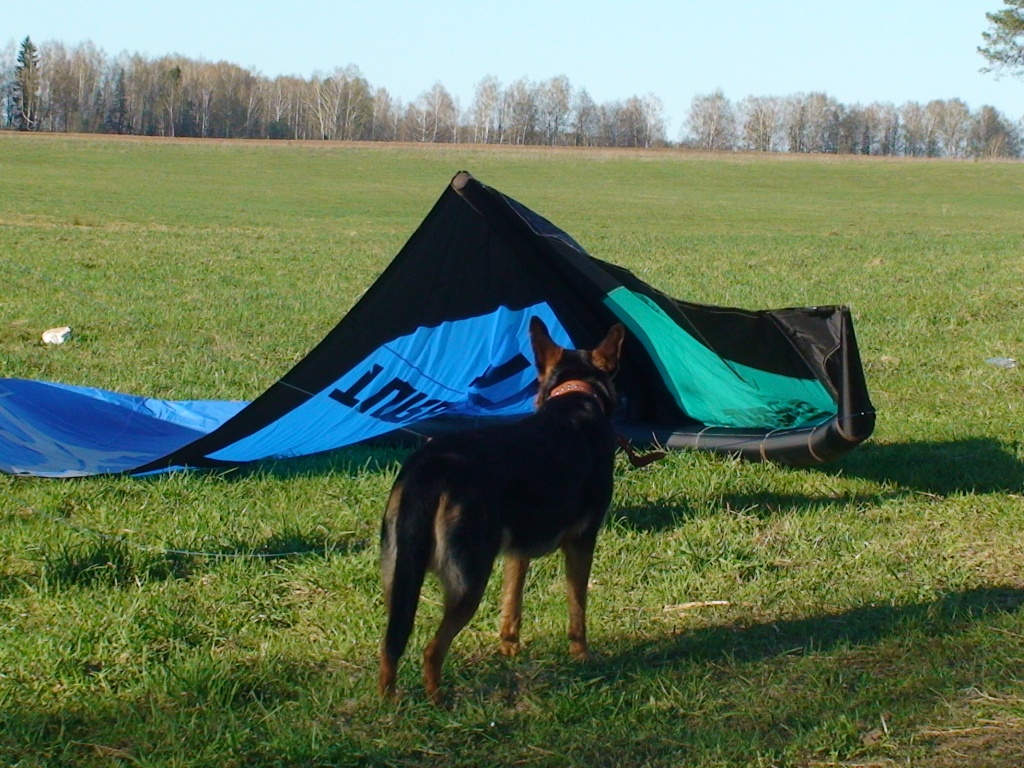 Slingshot Turbine