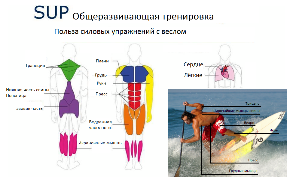 SUP stand up paddle.png